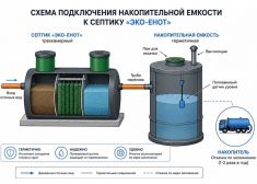 Эко-Енот Атлант 6